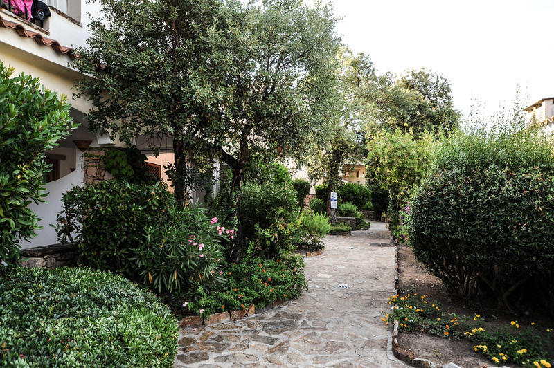 Elite Smeralda Room Porto Rotondo Eksteriør bilde